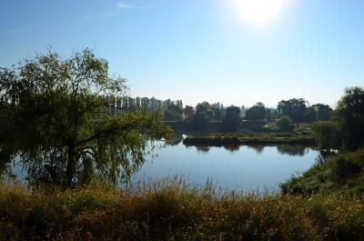 Прикрепленное изображение: DSC_0692__.jpg